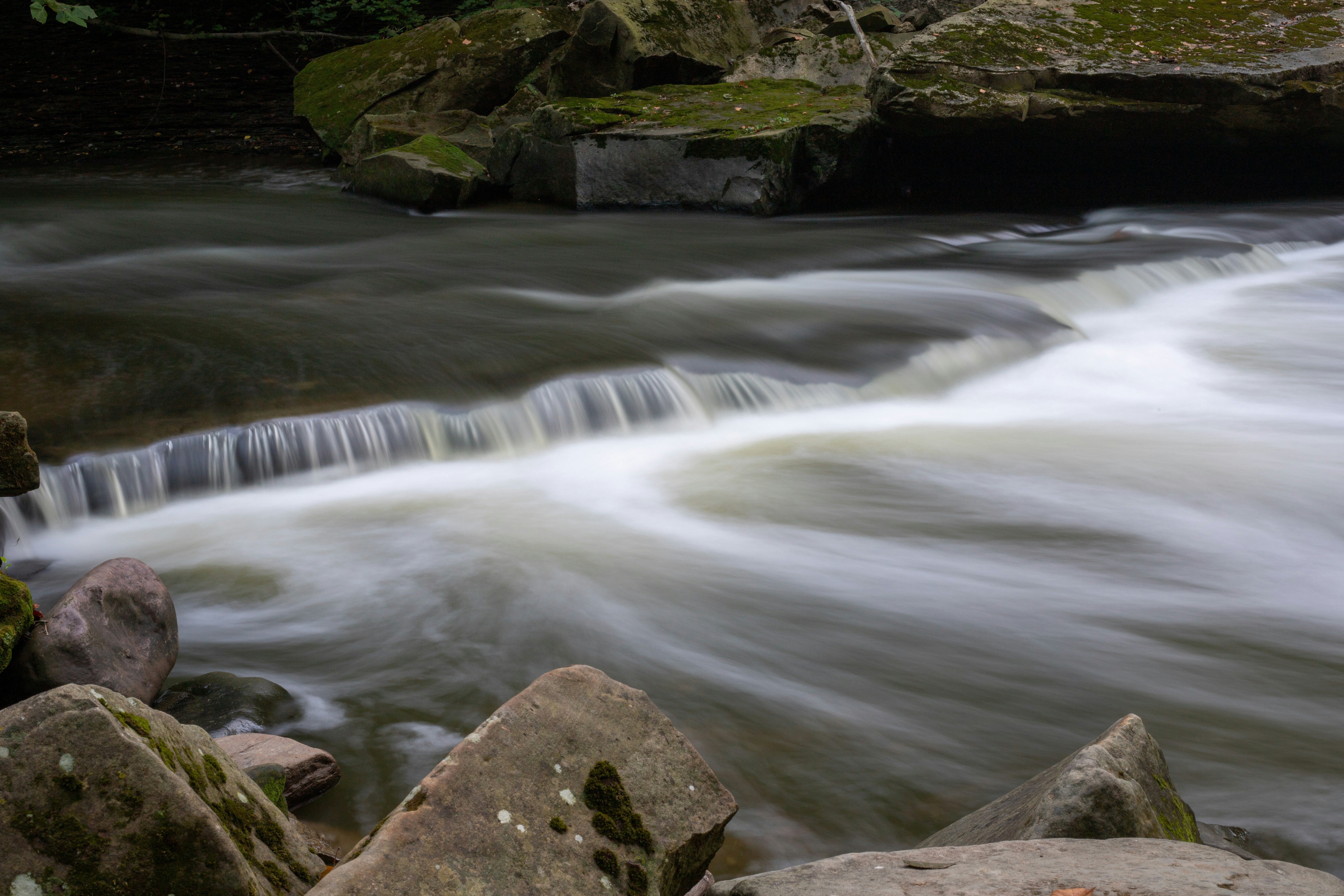 Photo by drkolomiyets