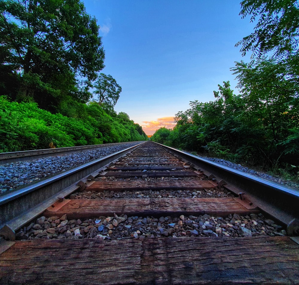 Carril de tren marrón cerca de árboles verdes durante el día