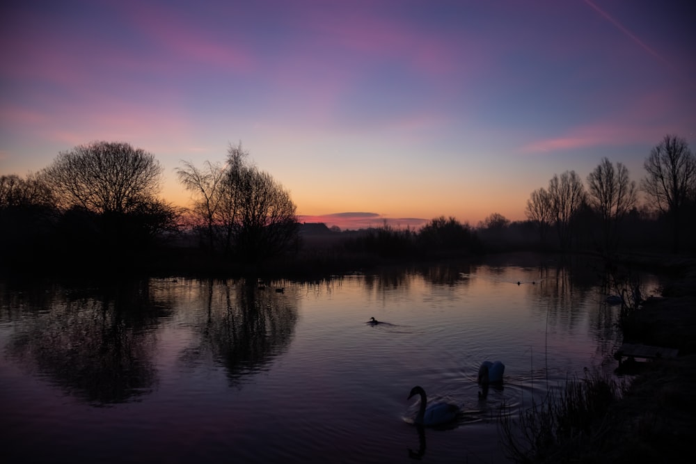 body of water during sunset