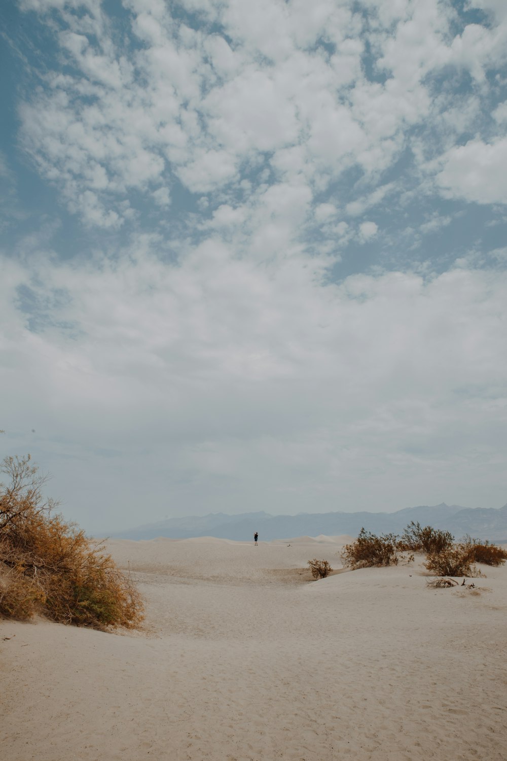 white sand under cloudy sky during daytime