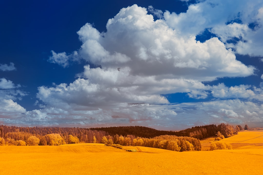 brown field under white clouds and blue sky during daytime