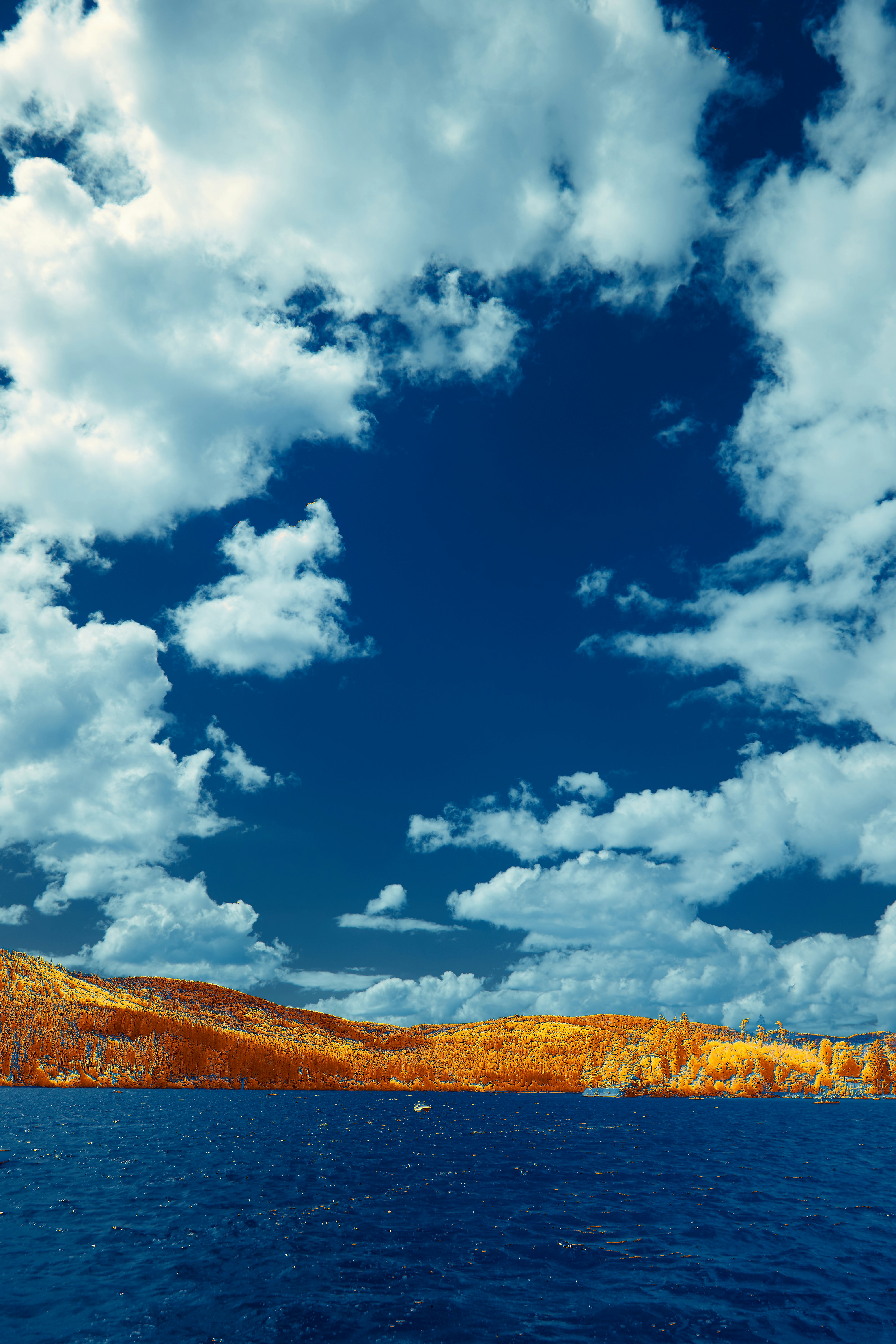 Photo by wolfgang_hasselmann