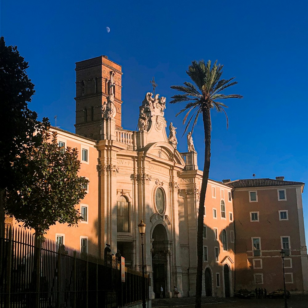 palm trees in front of beige concrete building