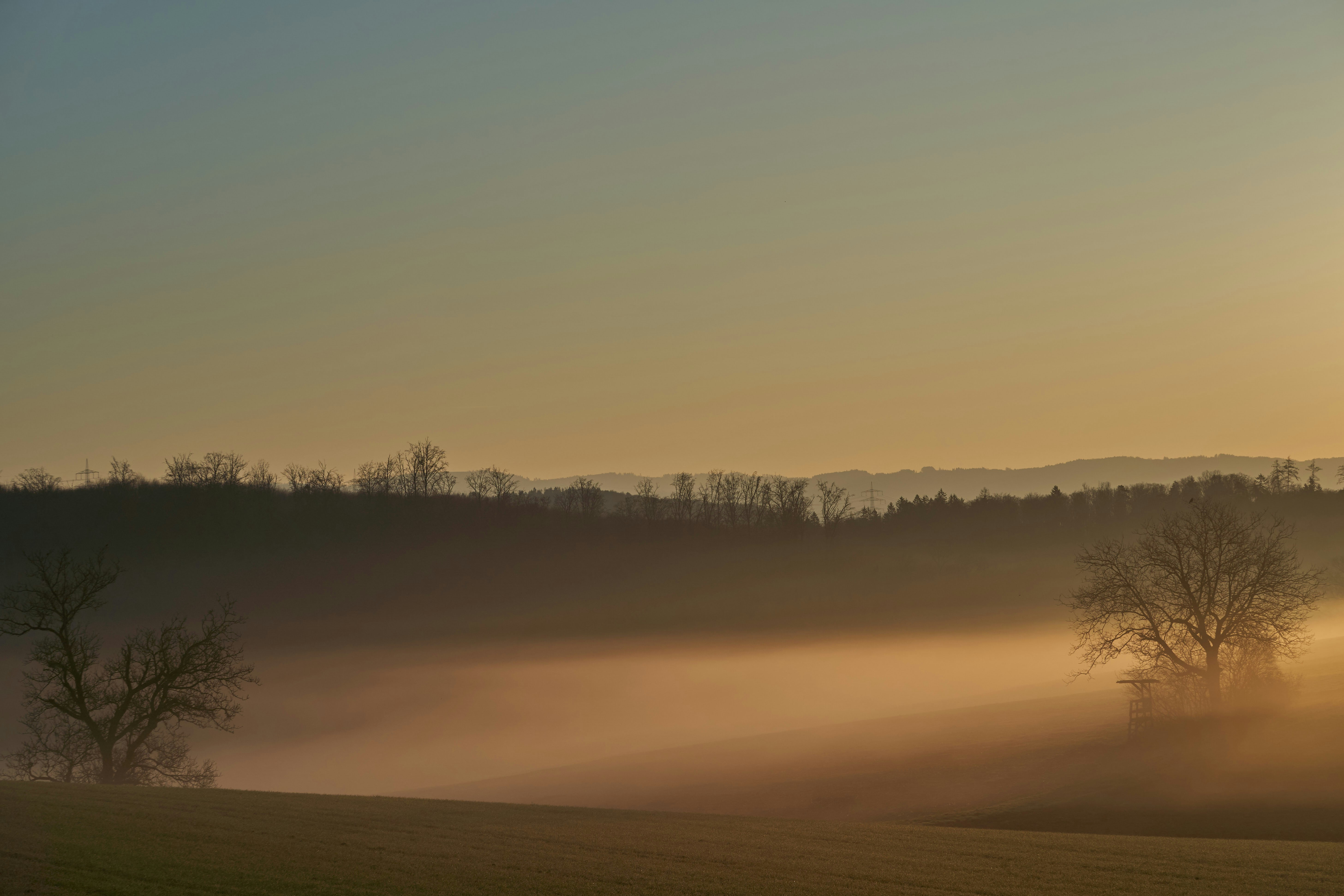 Photo by wolfgang_hasselmann