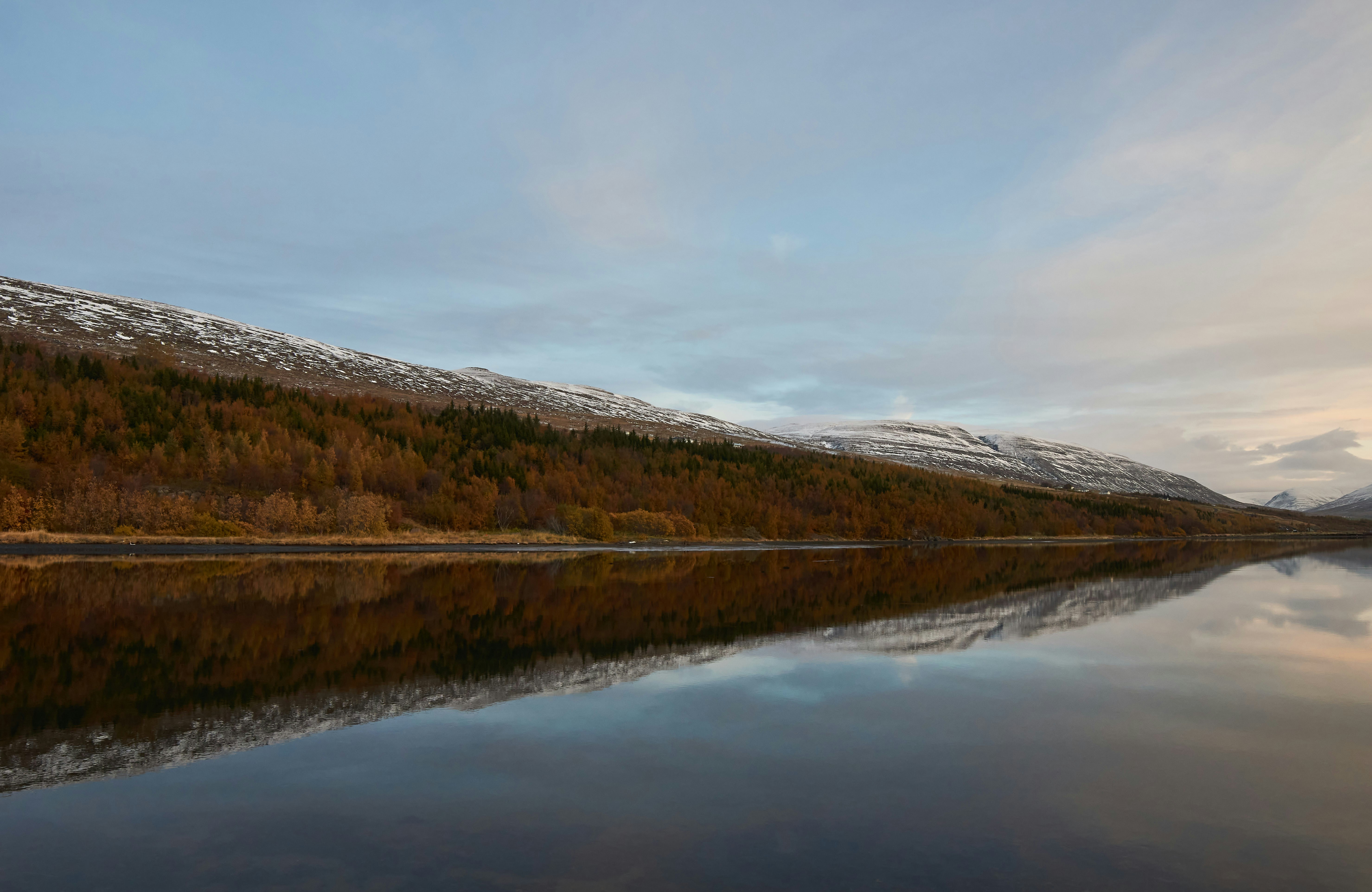 Photo by wolfgang_hasselmann