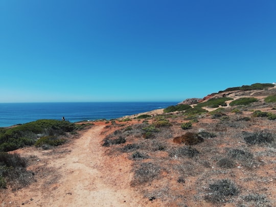 brown sand near body of water during daytime in Espinho Portugal