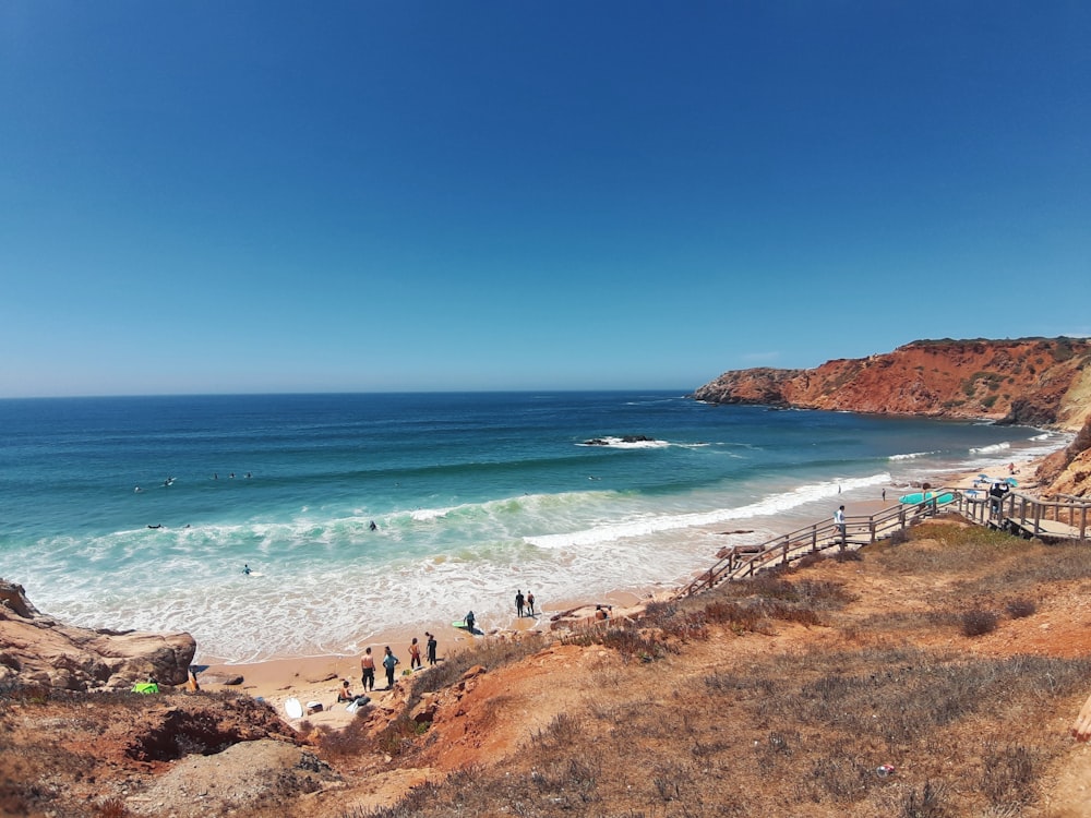 people on beach during daytime