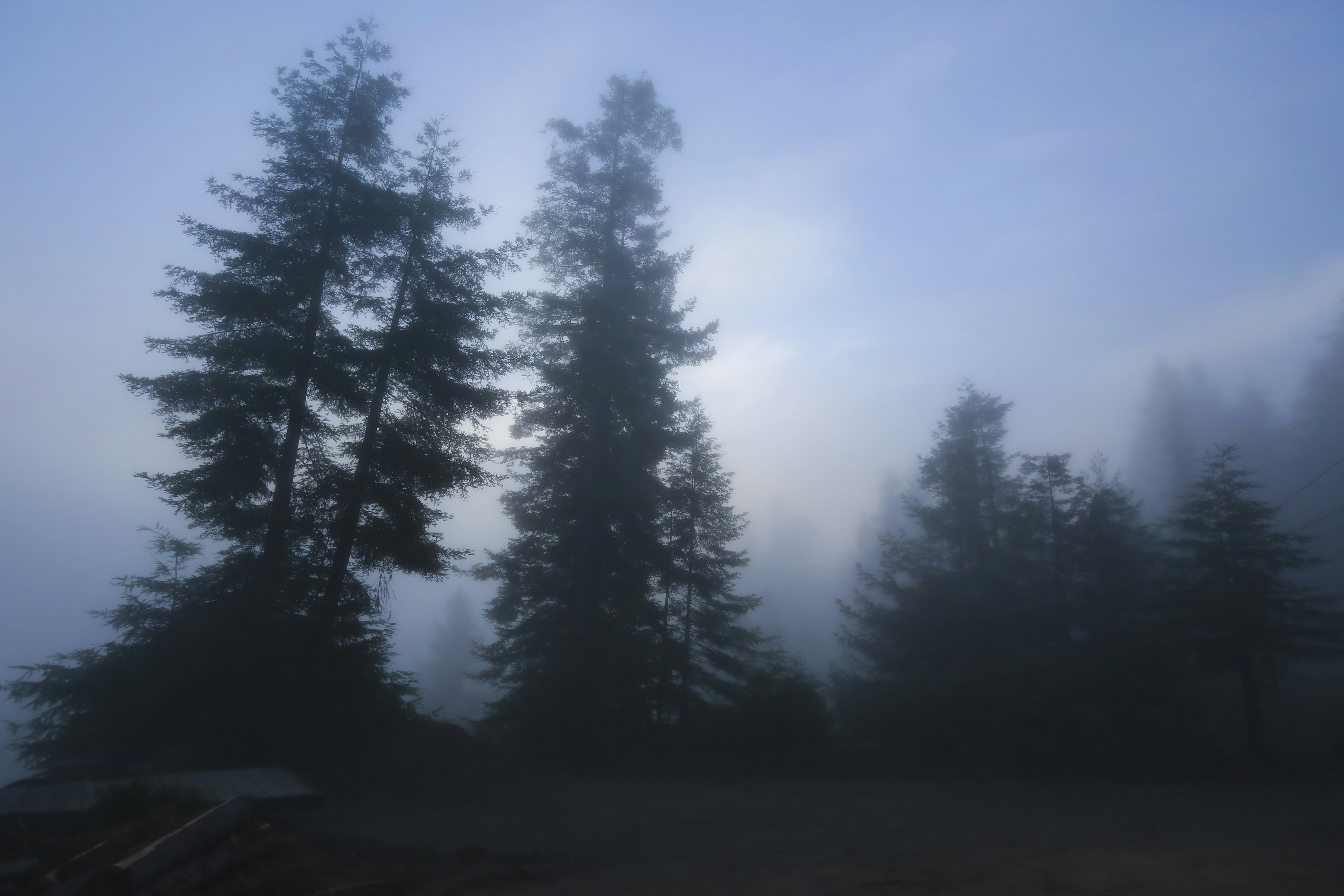 Photo by rocinante_11