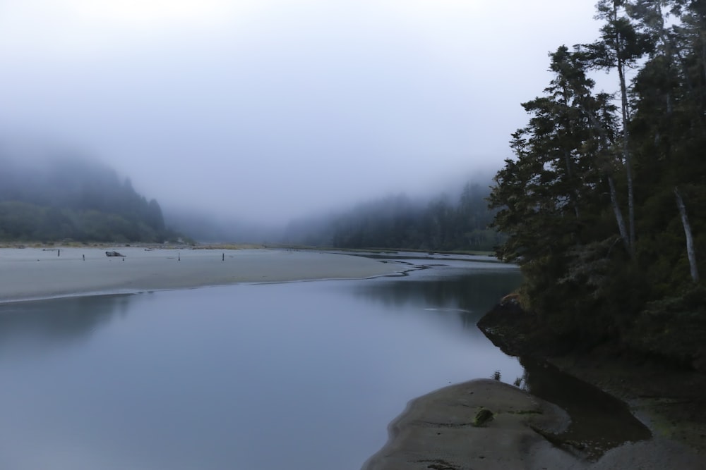 lake surrounded by green trees during foggy weather