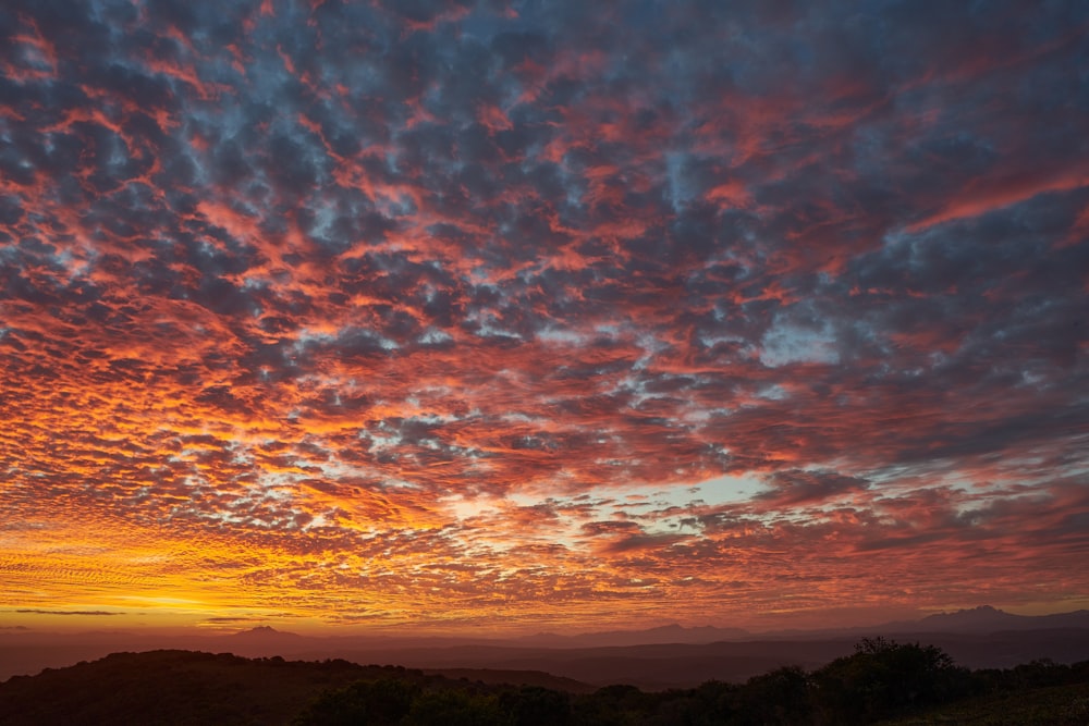 silhouette of trees under cloudy sky during sunset