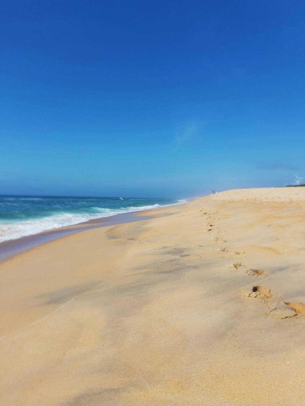 brown sand beach under blue sky during daytime