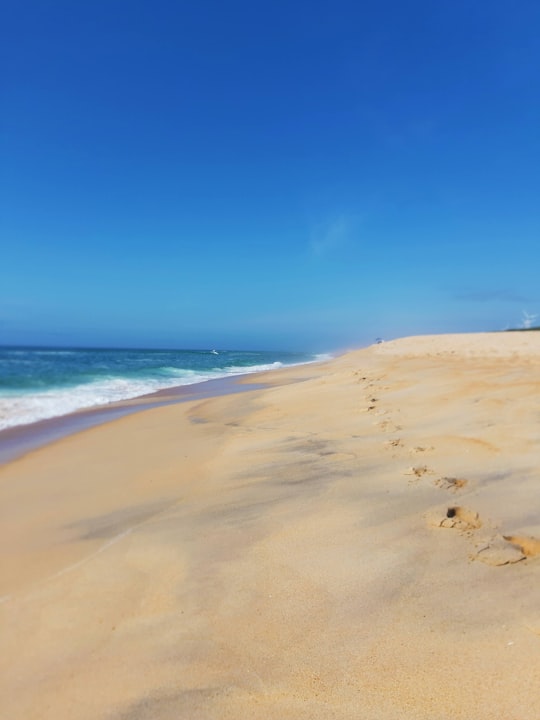 brown sand beach under blue sky during daytime in Nazaré Portugal