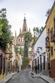 people walking on street near buildings during daytime