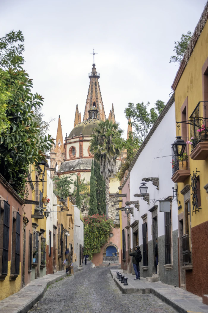 Best Specialty Coffee Roasters in Mexico City for Serious Coffee Drinkers