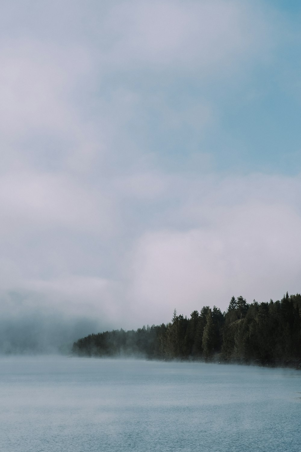 green trees on mountain under white clouds during daytime