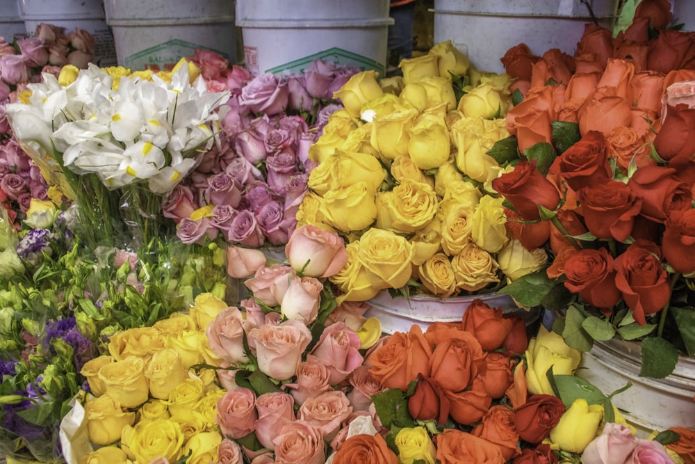 yellow and pink roses bouquet