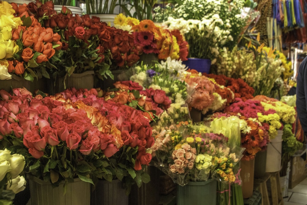 red and pink flowers in green plastic pots