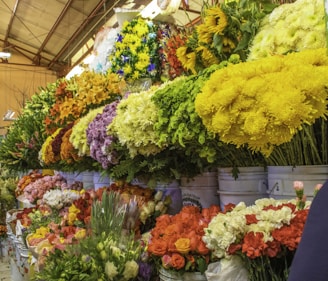 yellow and red flowers in bloom