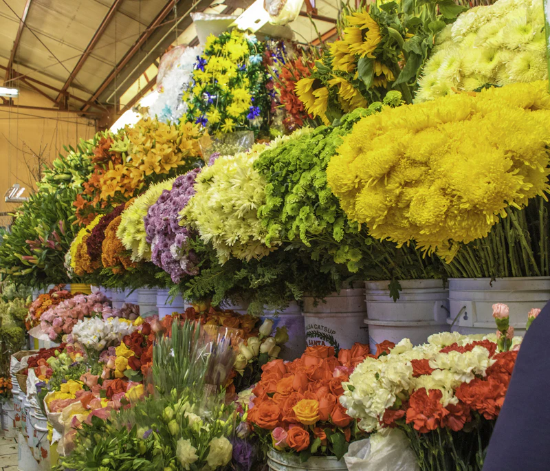 Darling Wildflower Show