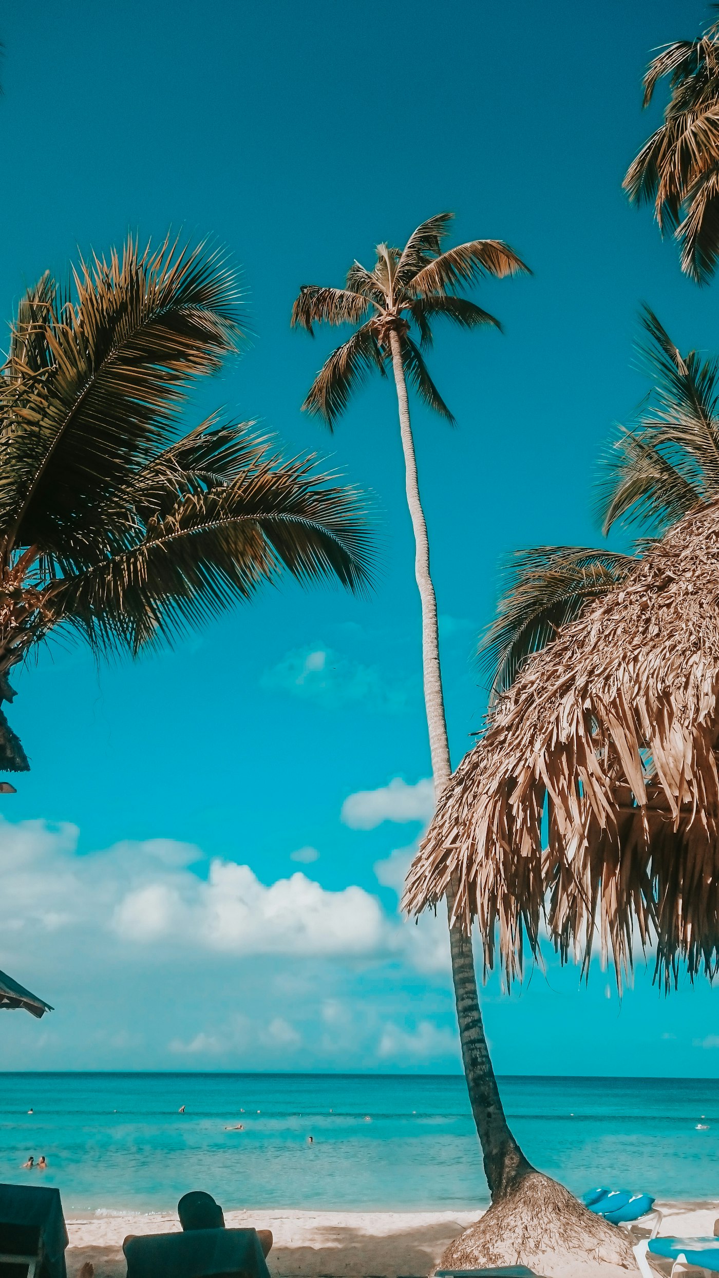 Playa caribeña al atardecer