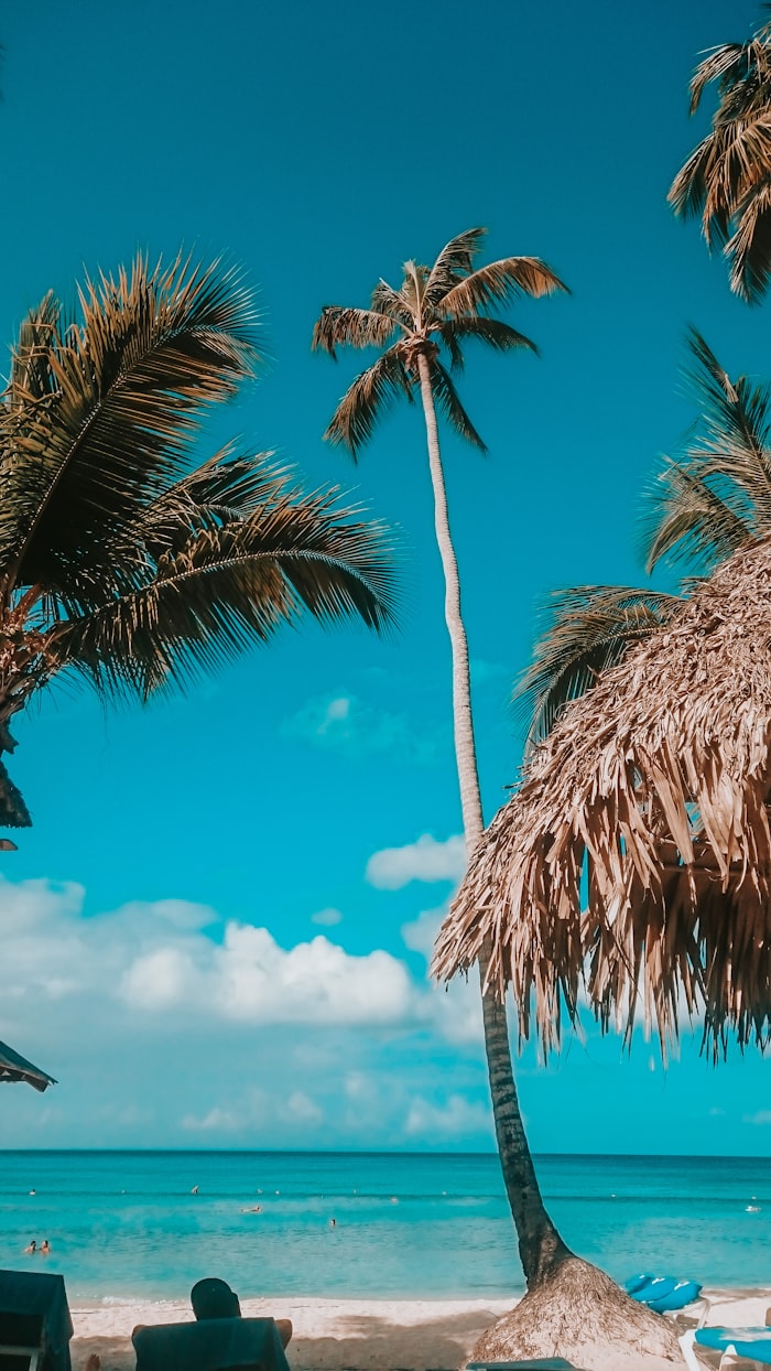 Punta Cana atardecer