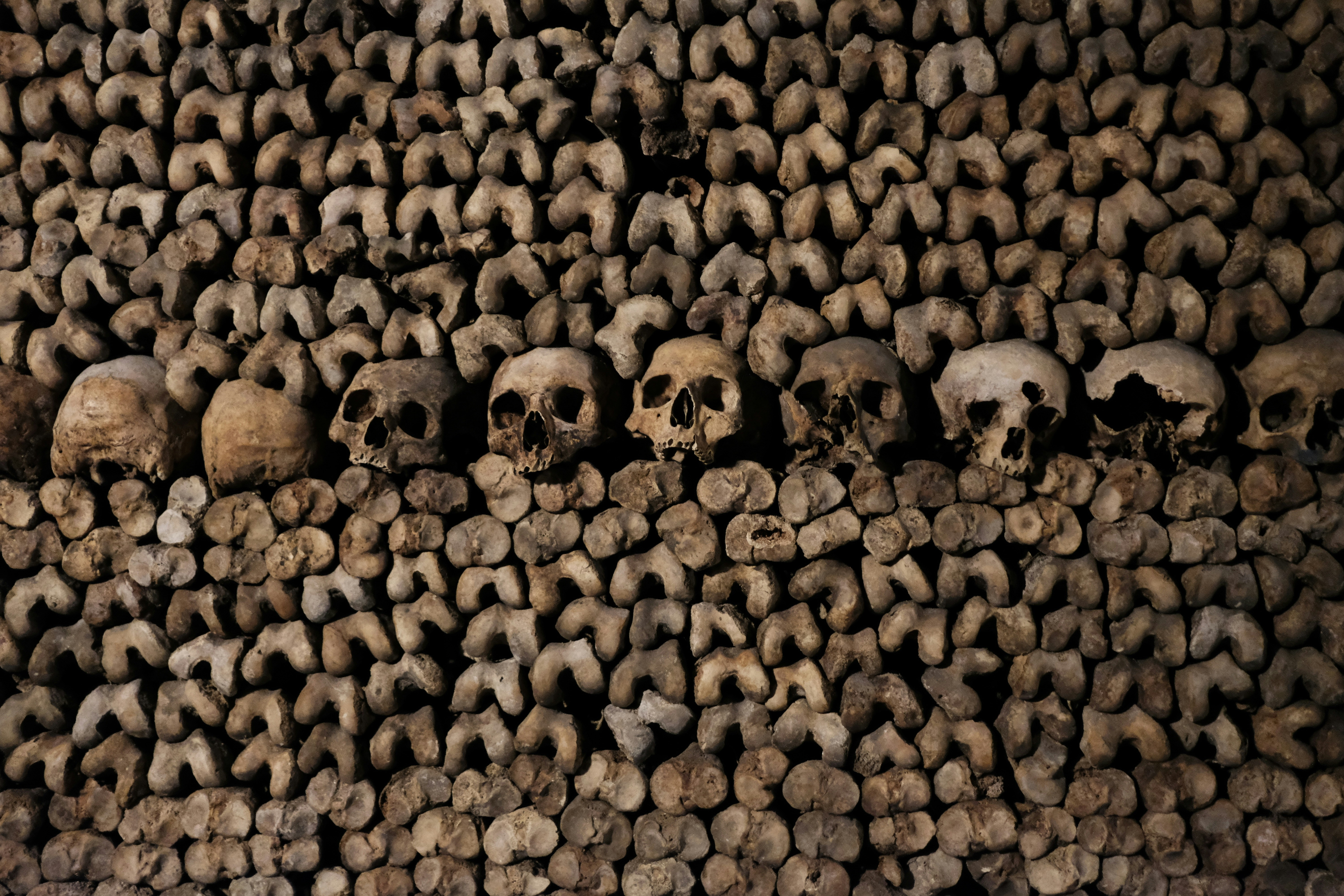 Paris Catacombs close for five-month renovation