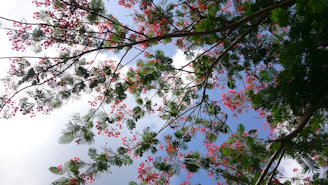 A family gently pruning a vibrant tree in a sunny backyard, surrounded by lush greenery.