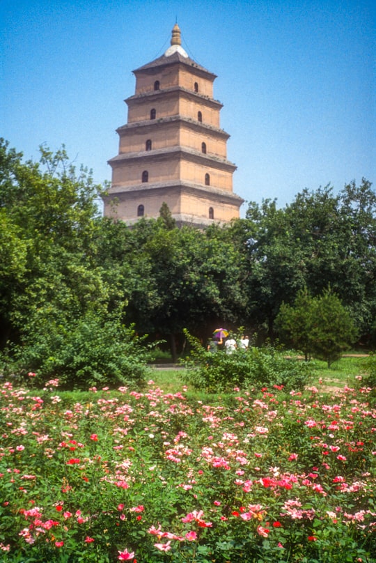 brown concrete building surrounded by green trees during daytime in Giant Wild Goose Pagoda China