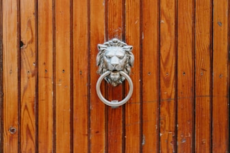 silver and white lion door handle