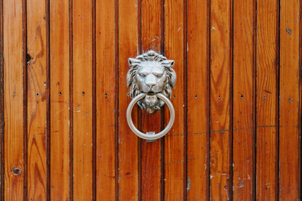 silver and white lion door handle