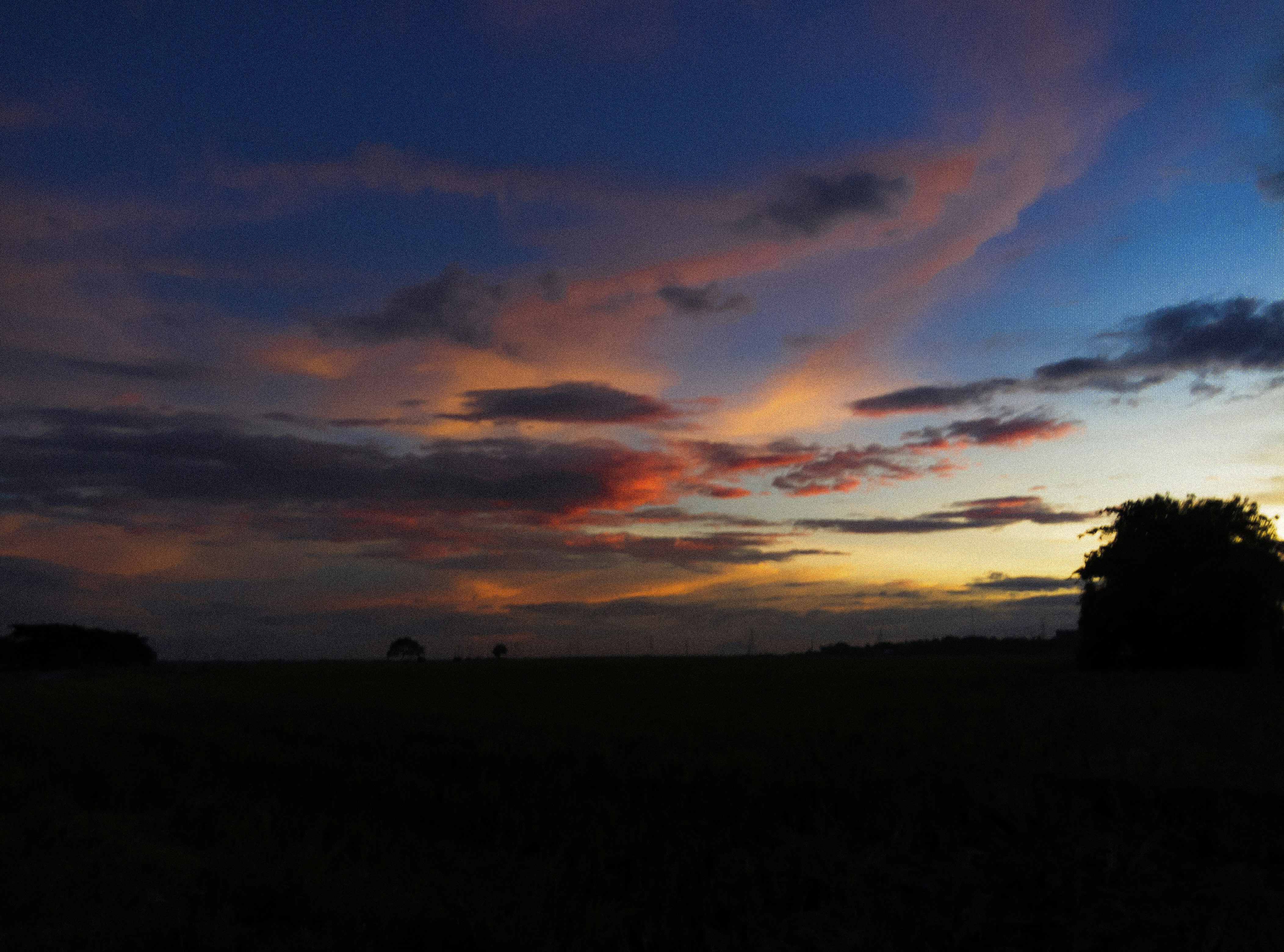 Photo by gelogee