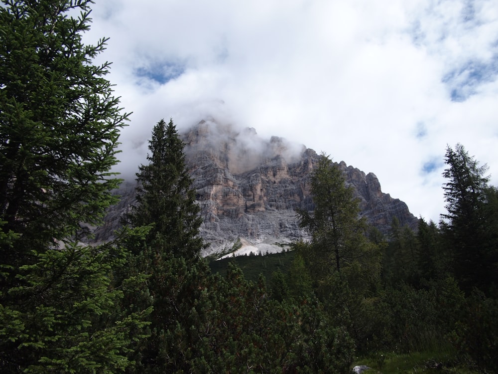 green trees near mountain under white clouds during daytime