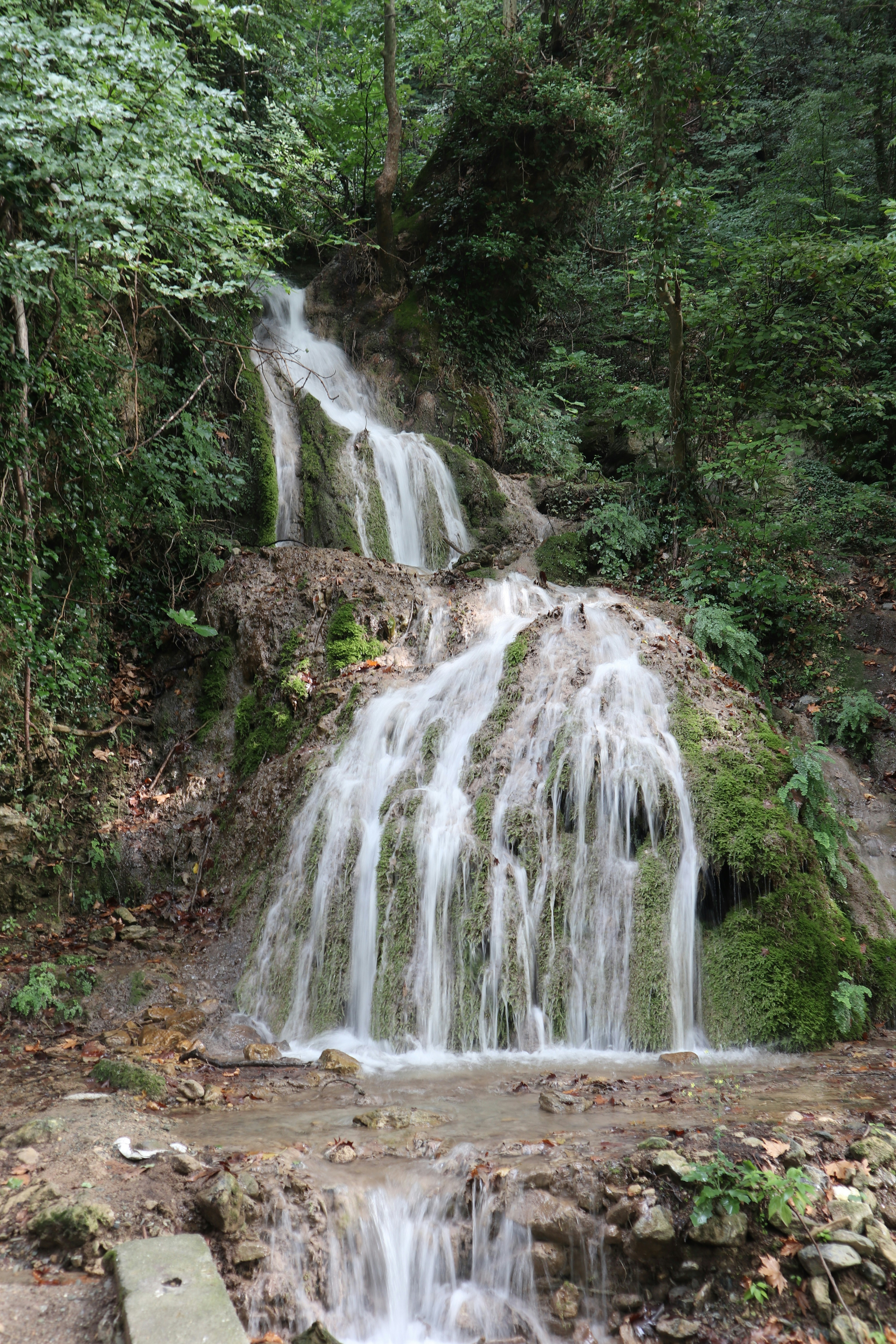 waterfalls in forest during daytime