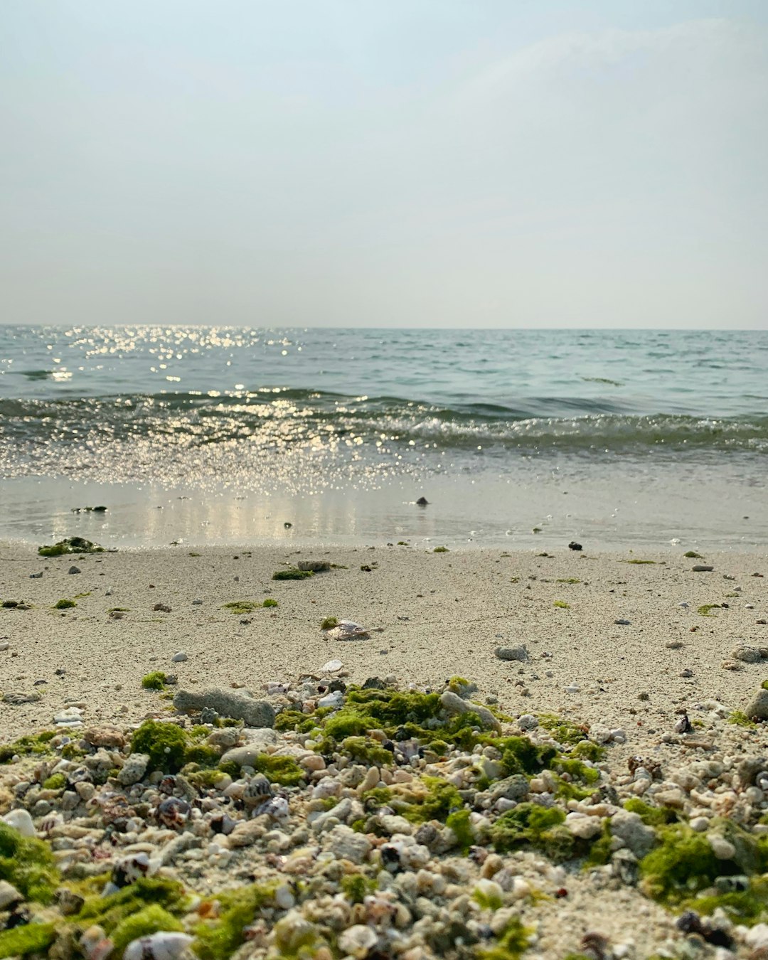travelers stories about Beach in Kish Island, Iran