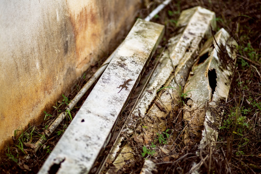 brown wooden ladder on brown concrete wall