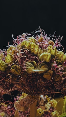 A bouquet consisting of dry, yellowish-green flowers and pinkish-purple strands against a dark background. The flowers have a rustic and textured appearance with some petals beginning to fade. The stems are visibly gathered and wrapped at the base.