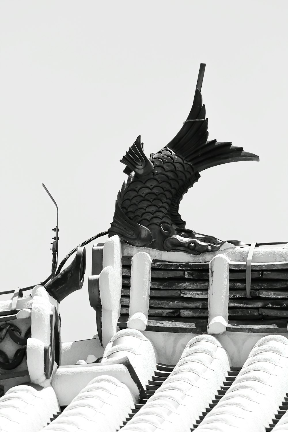 black bird on top of gray car engine