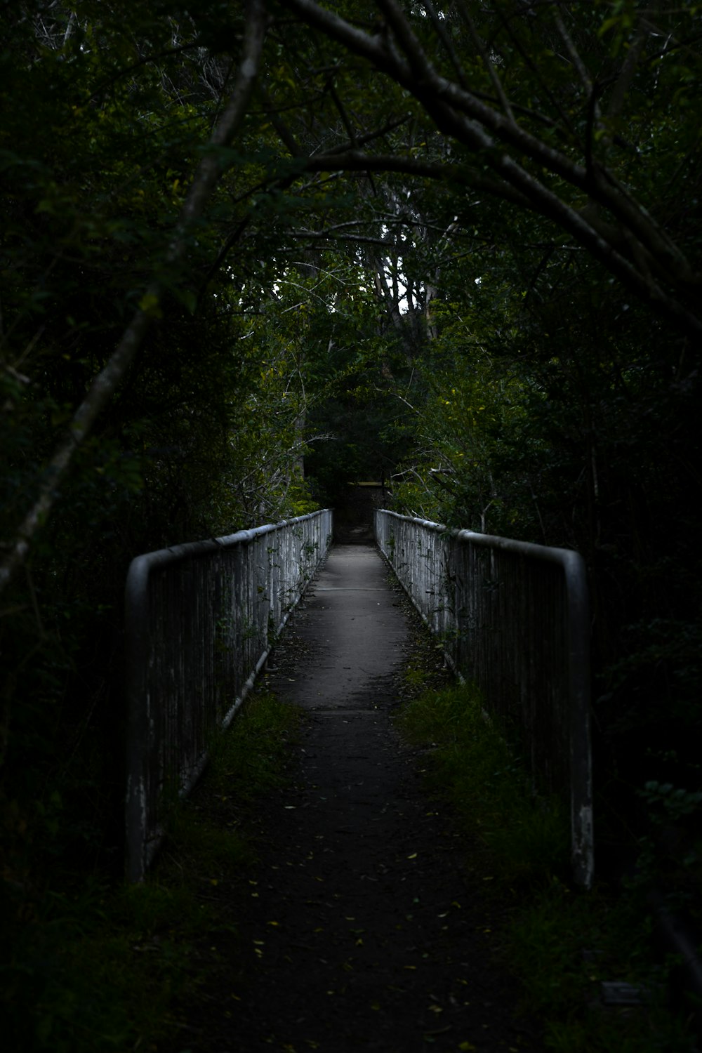 brown wooden bridge in the woods