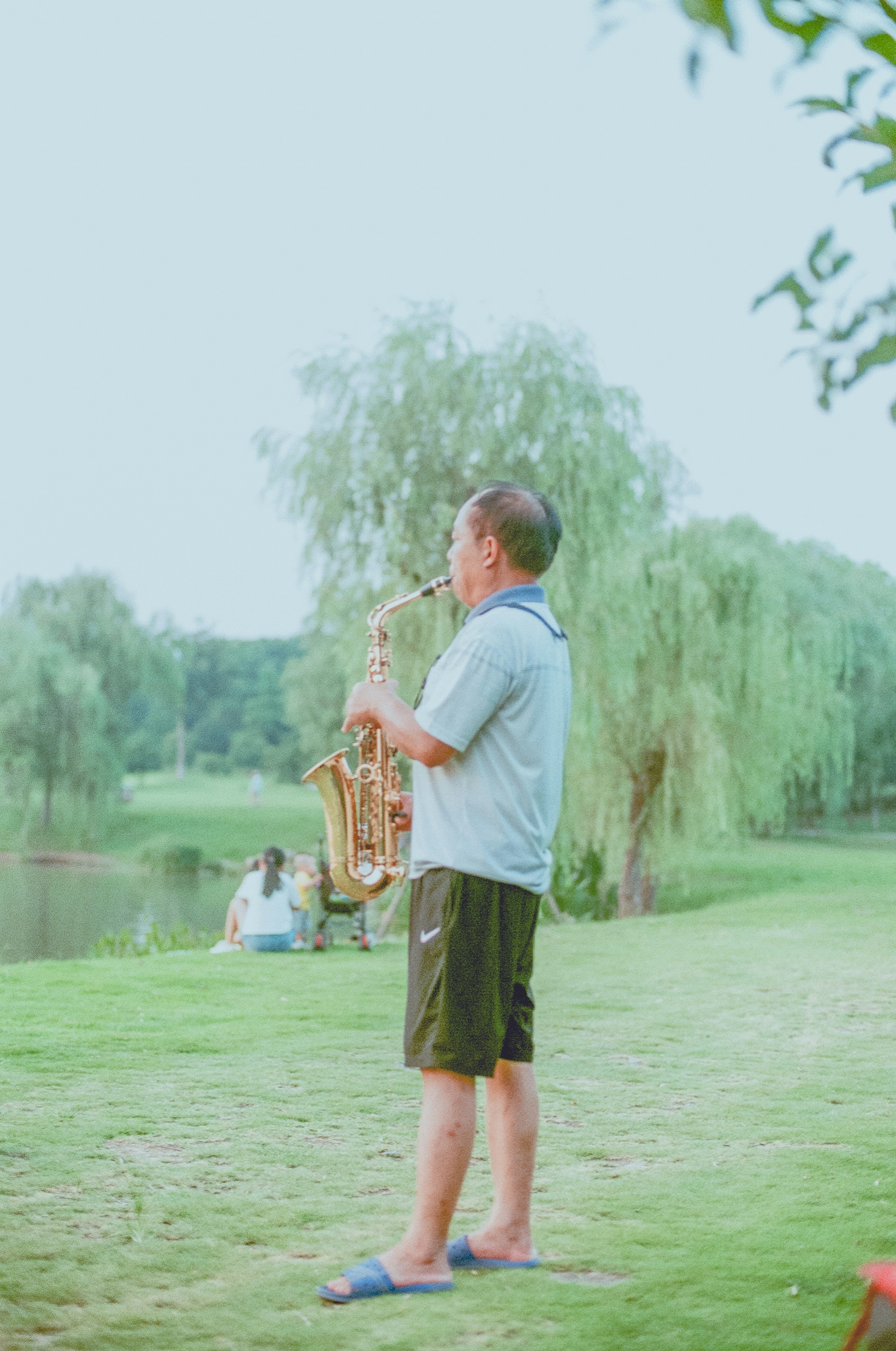 Man in white shirt playing saxophone on green grass field during ...