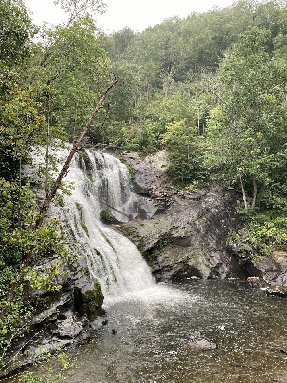 water falls in the middle of the forest