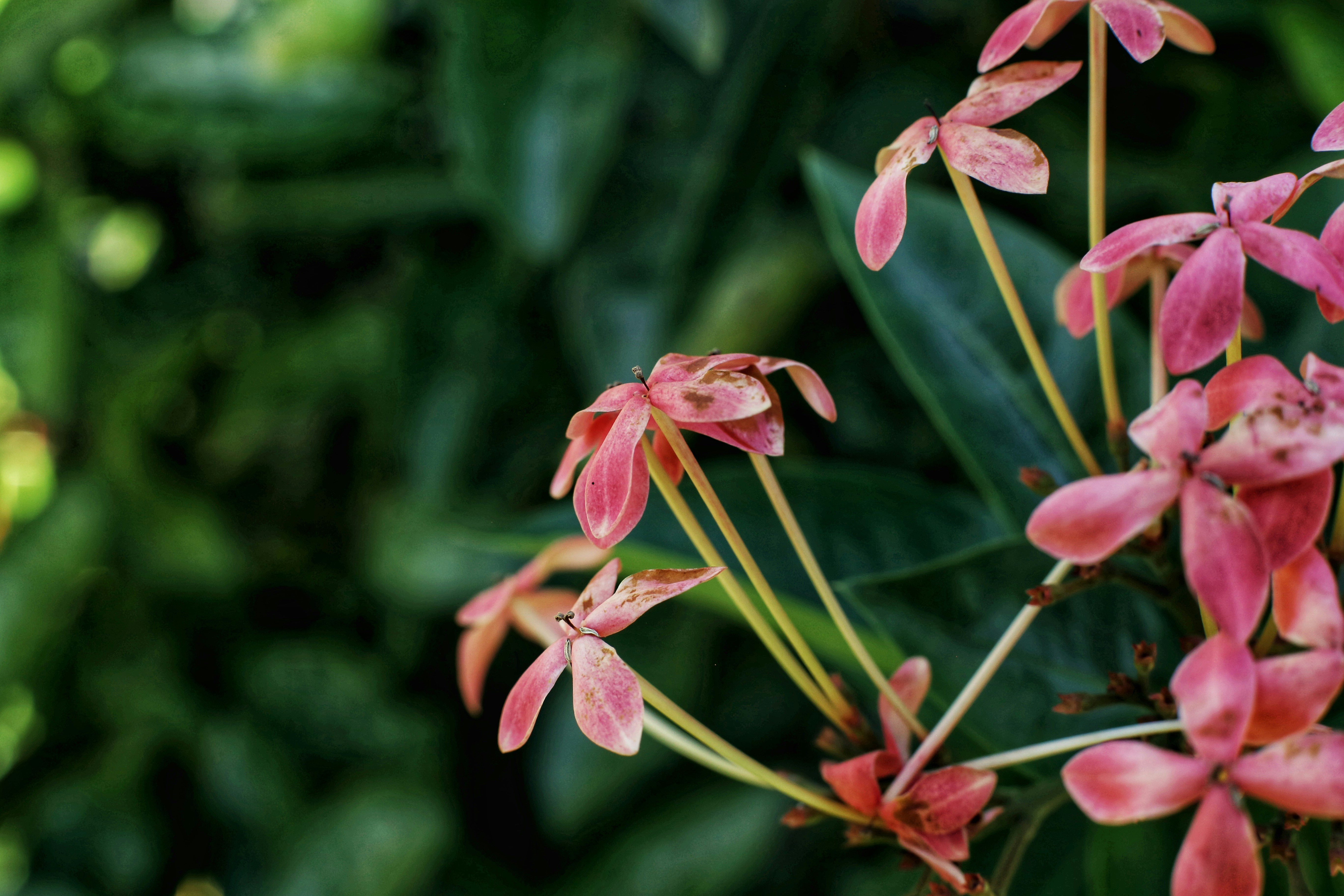 Photo by marcusurbenz