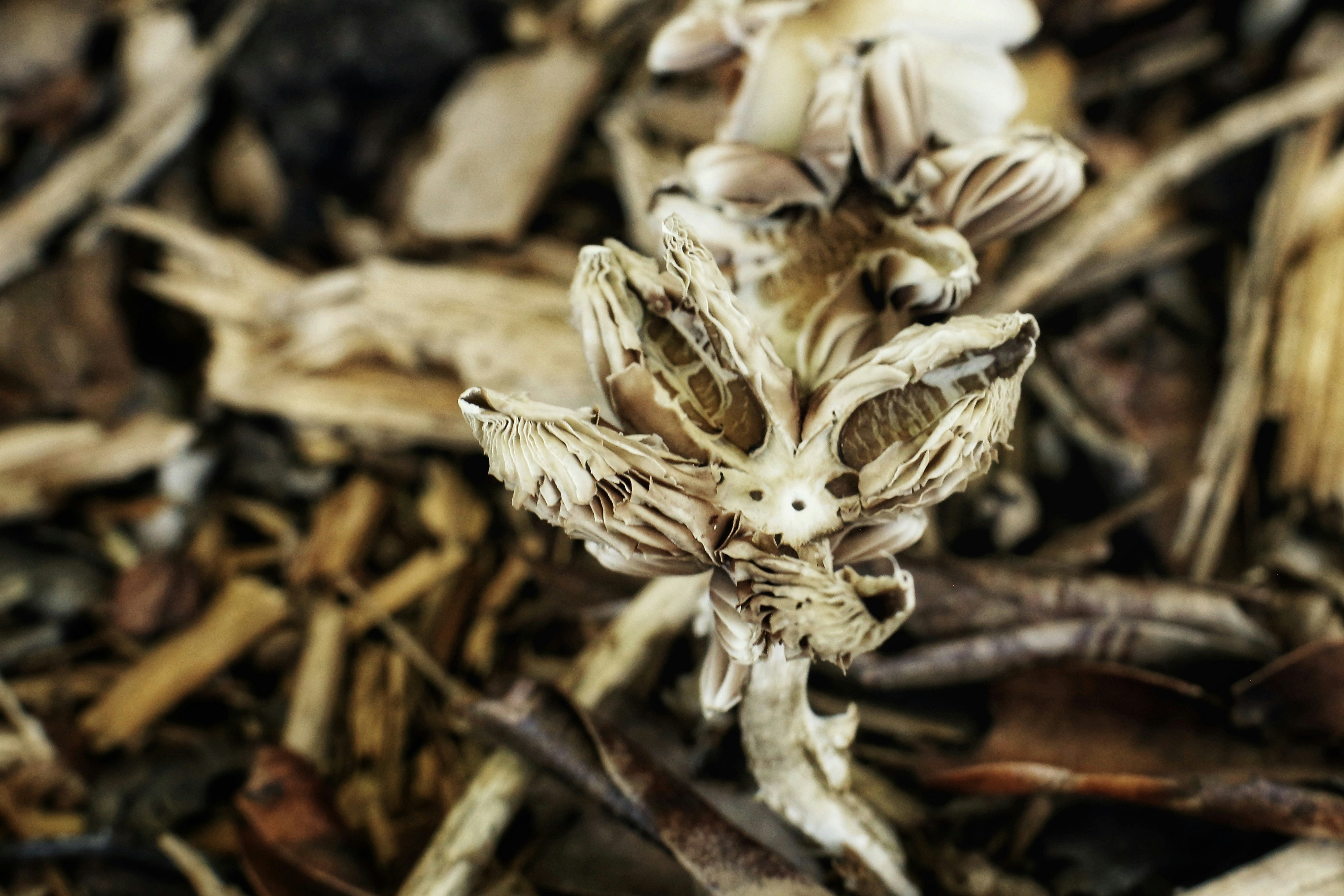 Photo by marcusurbenz