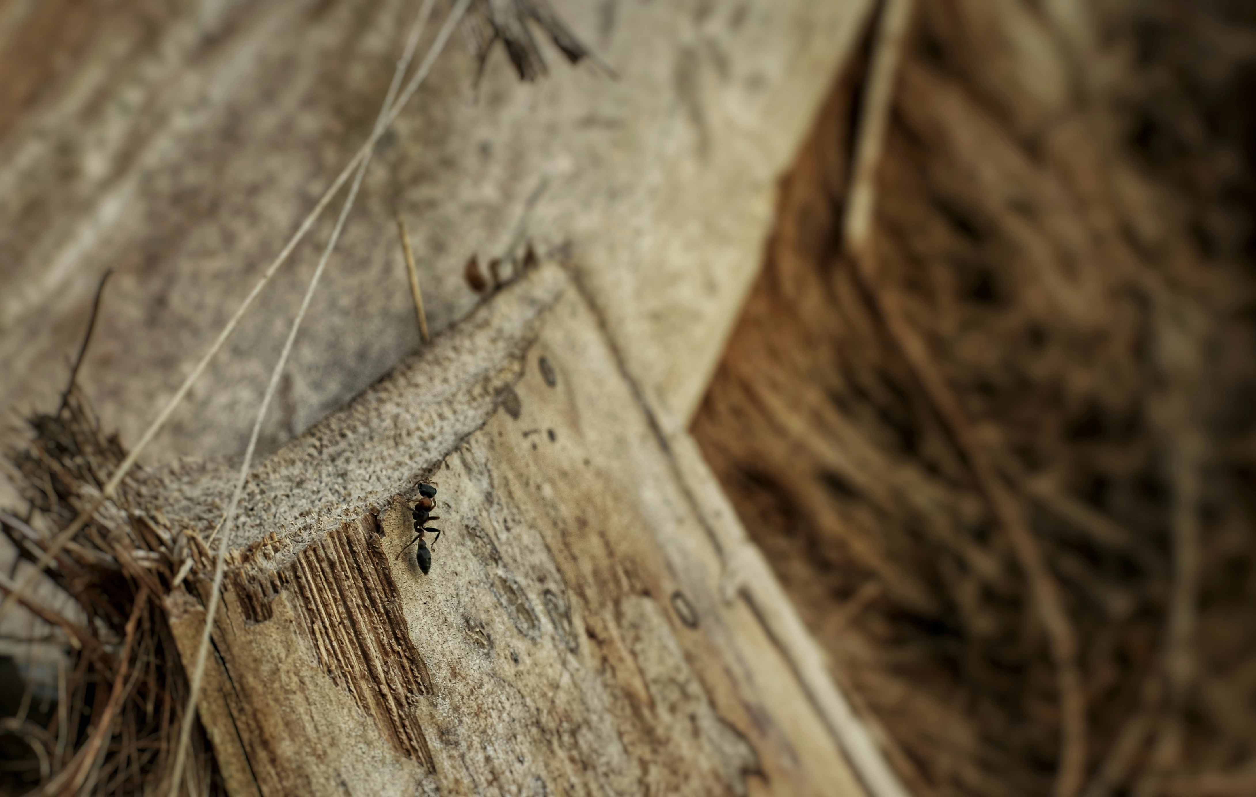 Photo by marcusurbenz