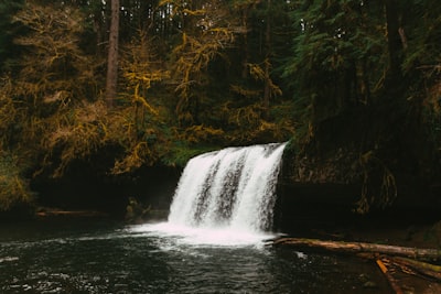 Butte Creek Falls - От Small Secondary Fall, United States