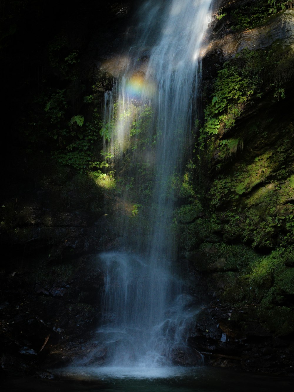 water falls in the middle of the forest