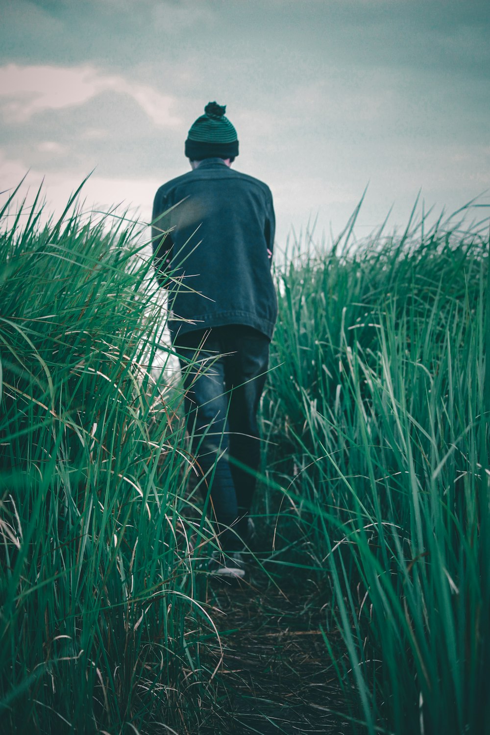 person in black jacket and blue denim jeans standing on green grass field