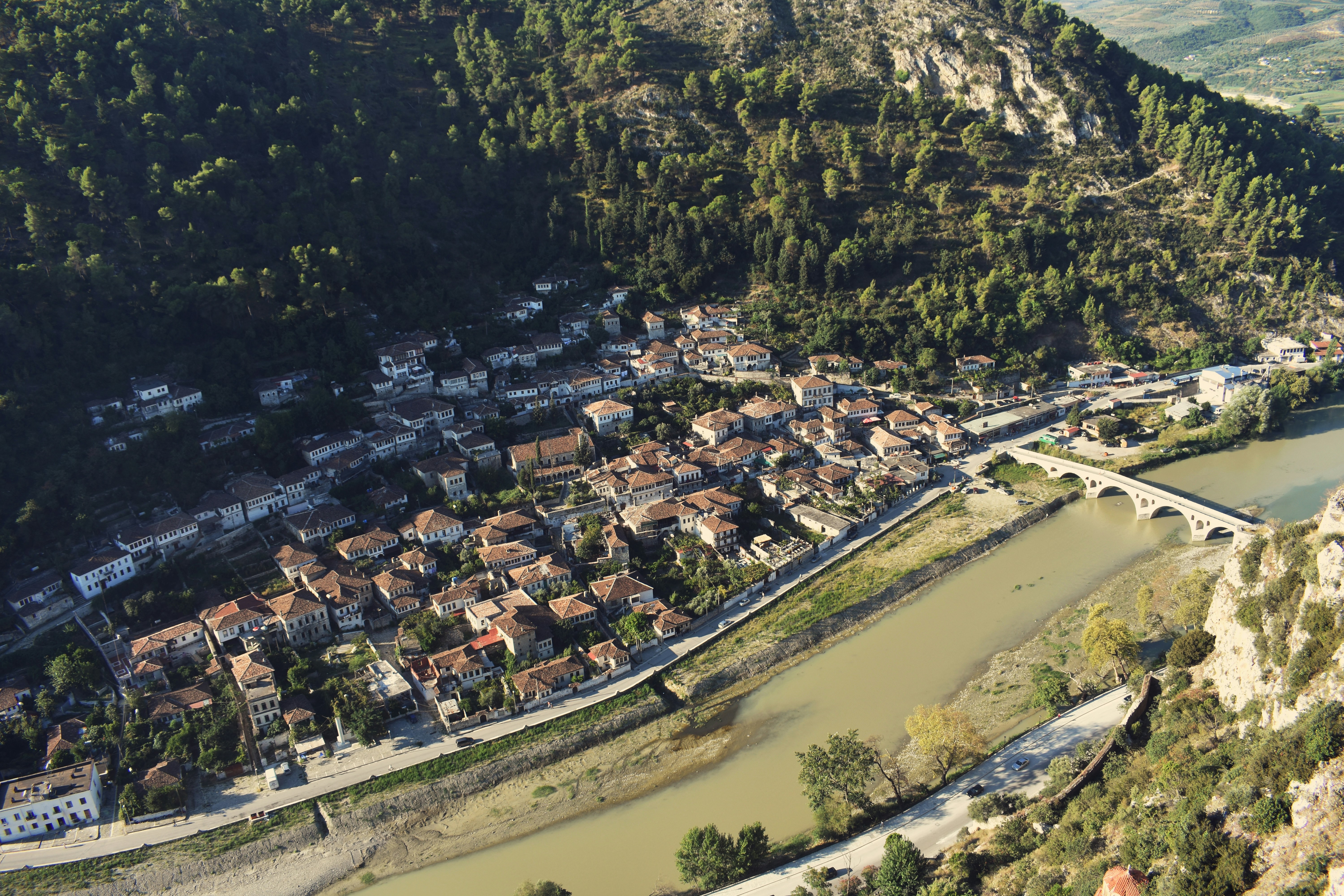 Vista aérea de los edificios y árboles de la ciudad durante el día