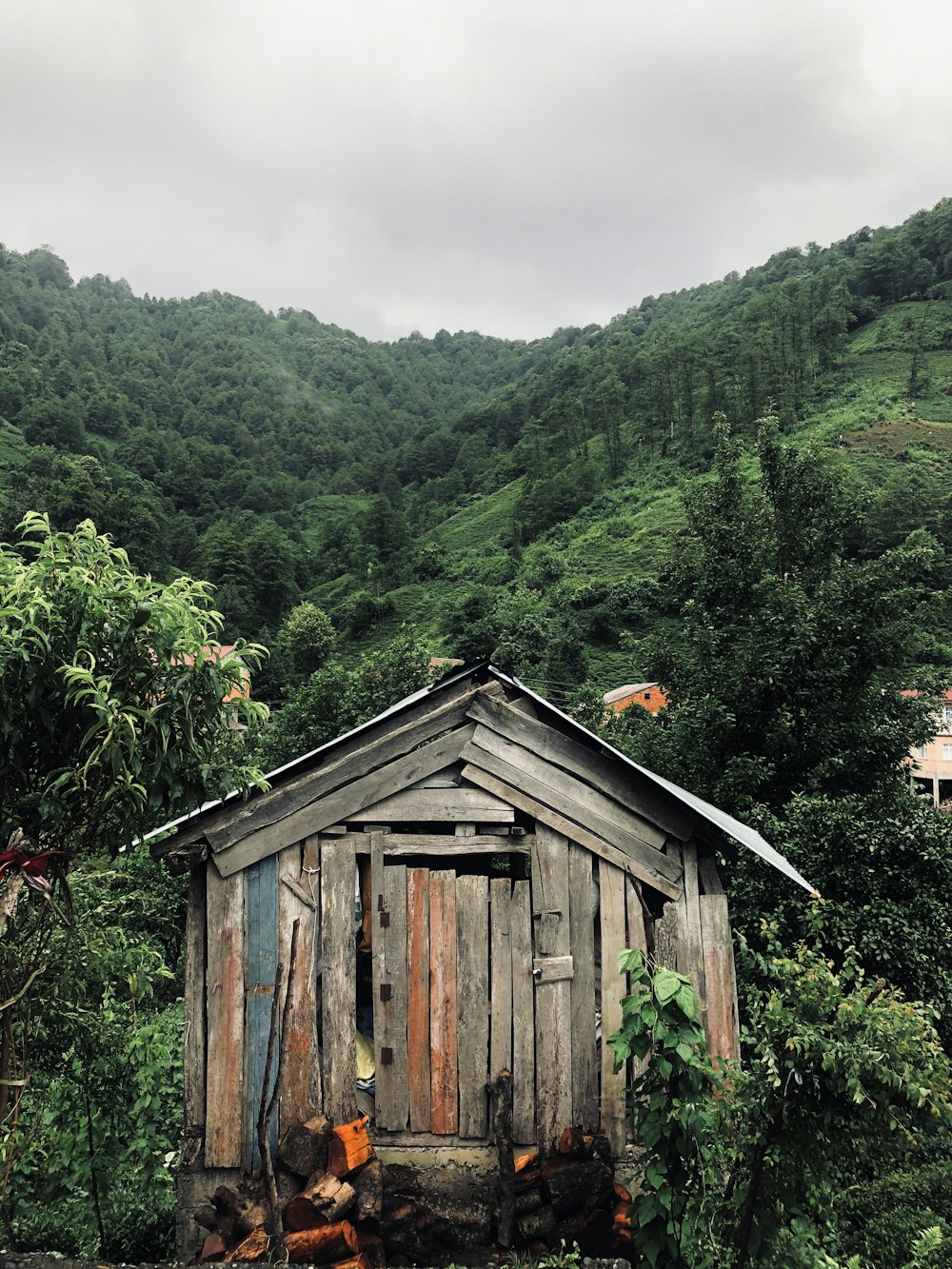 brown wooden house near green trees during daytime