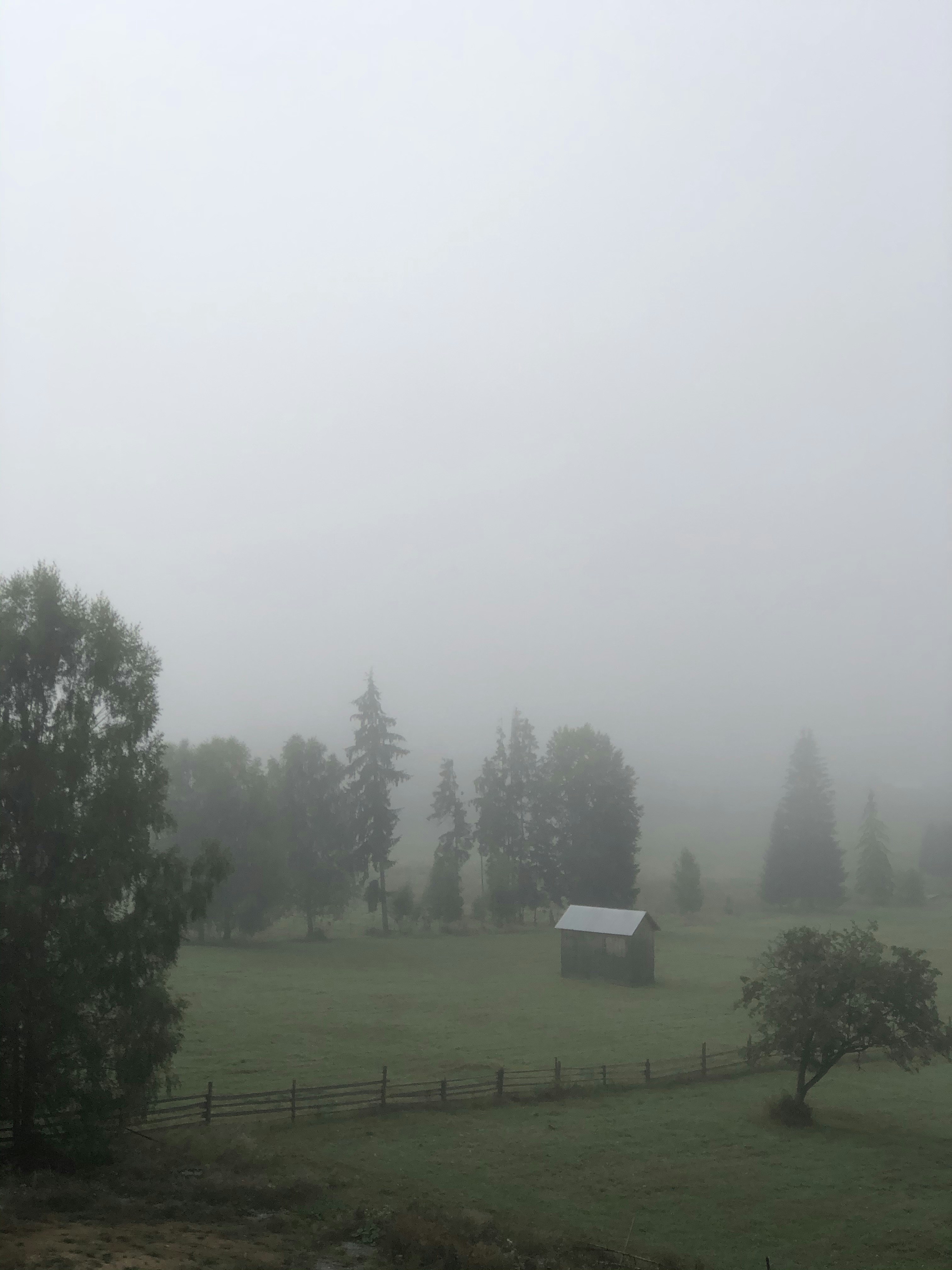 Photo by hadasa_sisu