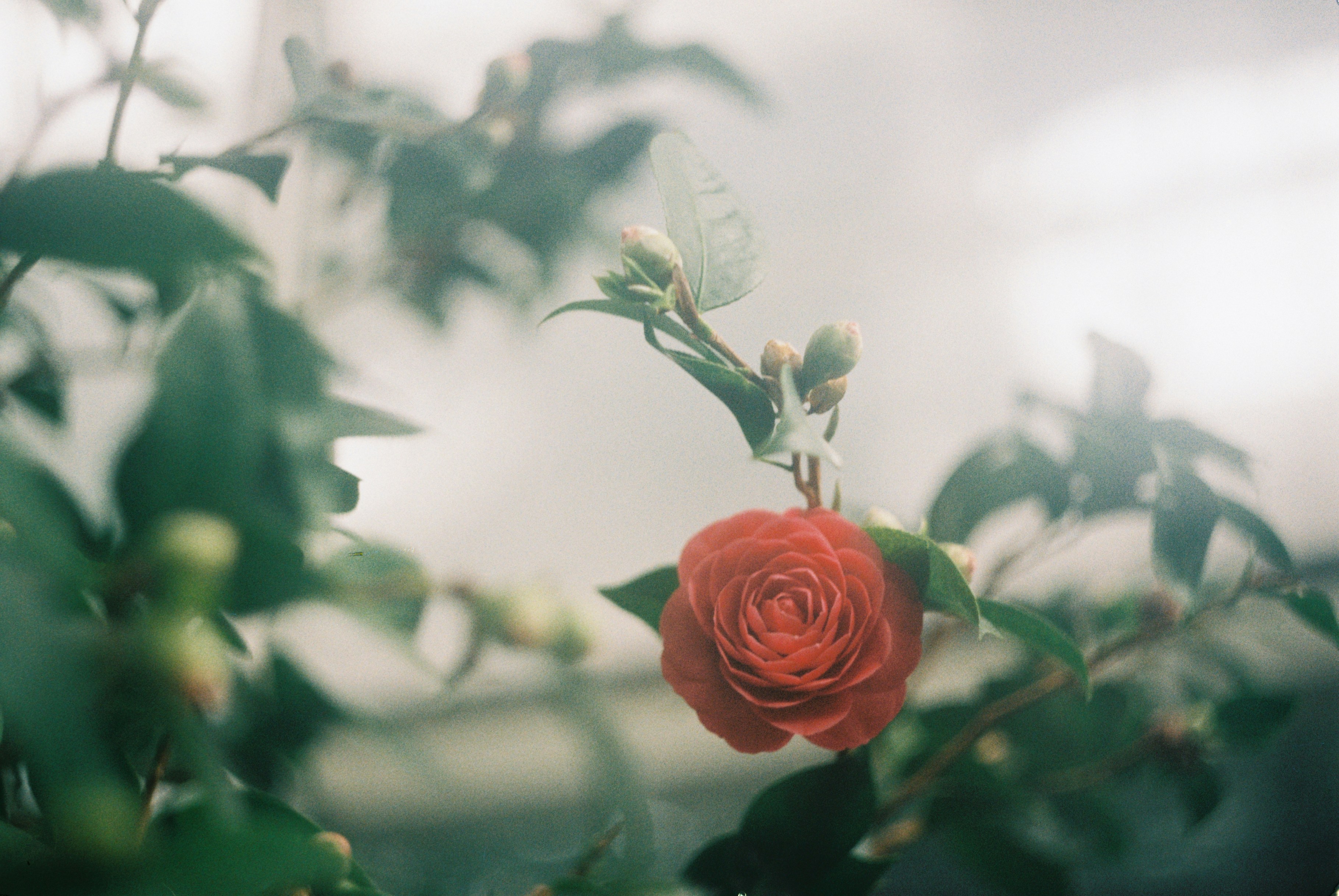 Photo by maslina_karina